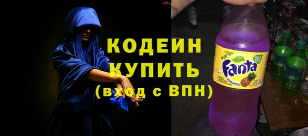 гидра Богородск