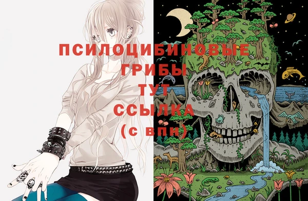 spice Богданович