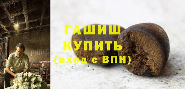 гидра Богородск