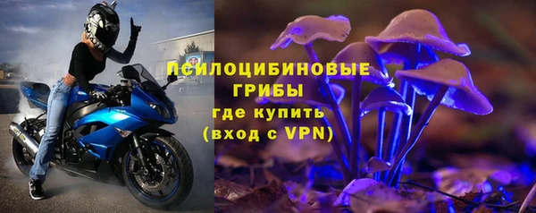 бошки Белокуриха