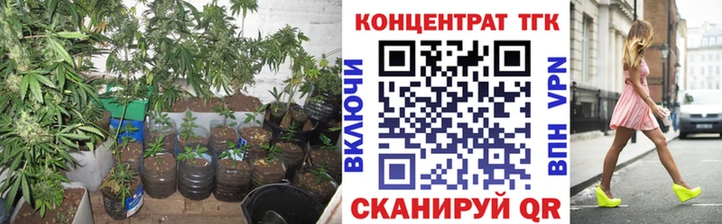ТГК THC oil Дзержинский